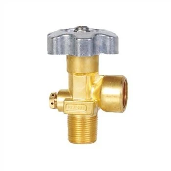 Katup Silinder CGA580